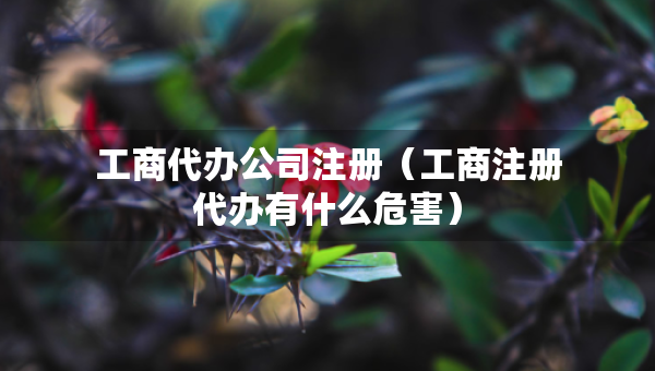 工商代辦公司注冊(cè)（工商注冊(cè)代辦有什么危害）
