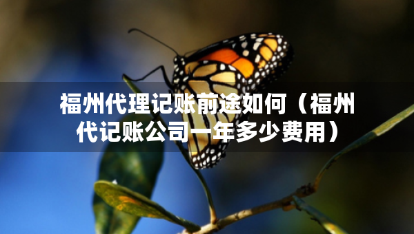 福州代理記賬前途如何（福州代記賬公司一年多少費用）