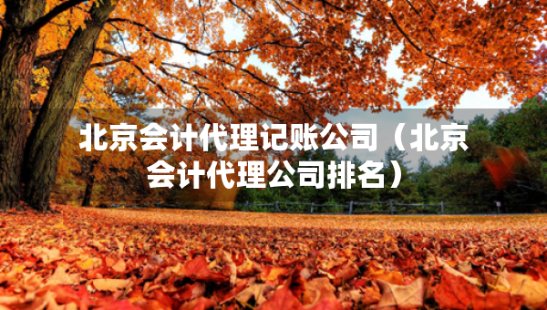 北京會(huì)計(jì)代理記賬公司（北京會(huì)計(jì)代理公司排名）