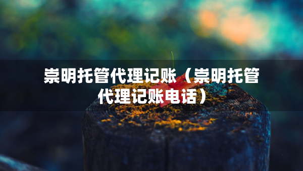 崇明托管代理記賬（崇明托管代理記賬電話）