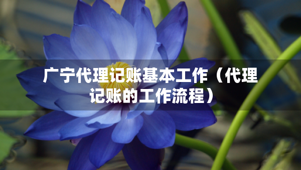 廣寧代理記賬基本工作（代理記賬的工作流程）