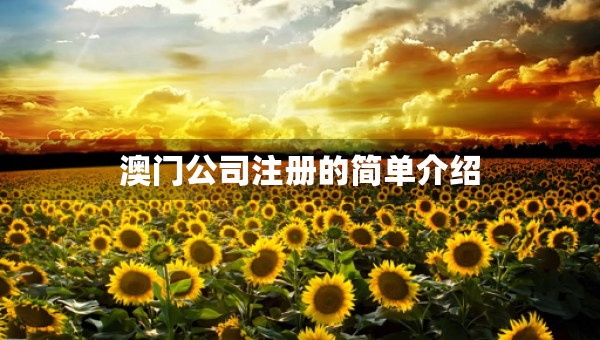 澳門公司注冊的簡單介紹