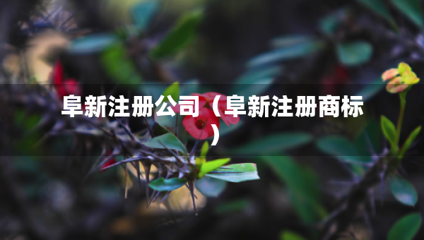 阜新注冊公司（阜新注冊商標）
