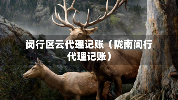 閔行區(qū)云代理記賬（隴南閔行代理記賬）