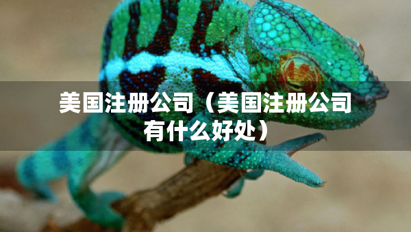 美國注冊公司（美國注冊公司有什么好處）