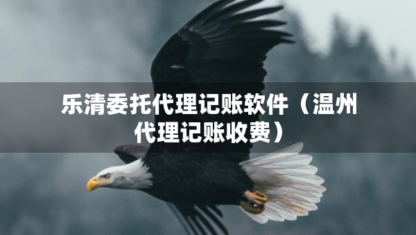樂(lè)清委托代理記賬軟件（溫州代理記賬收費(fèi)）