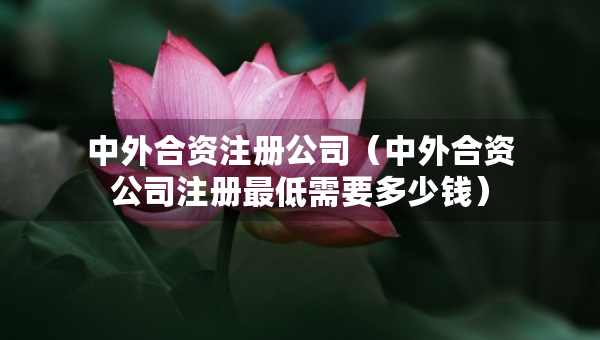 中外合資注冊公司（中外合資公司注冊最低需要多少錢）