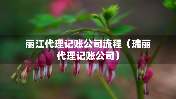麗江代理記賬公司流程（瑞麗代理記賬公司）