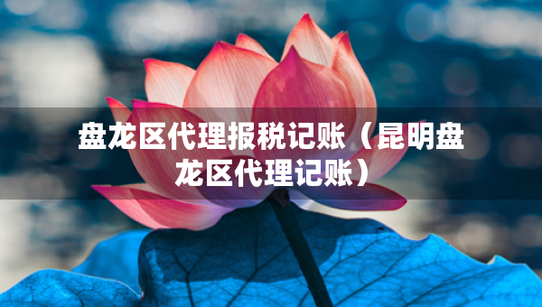 盤龍區(qū)代理報稅記賬（昆明盤龍區(qū)代理記賬）
