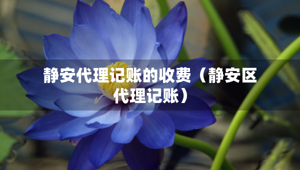 靜安代理記賬的收費（靜安區(qū)代理記賬）