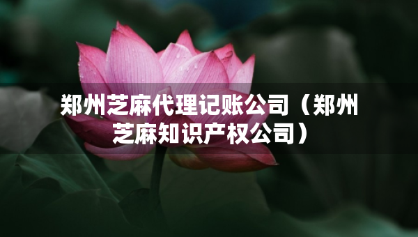 鄭州芝麻代理記賬公司（鄭州芝麻知識(shí)產(chǎn)權(quán)公司）