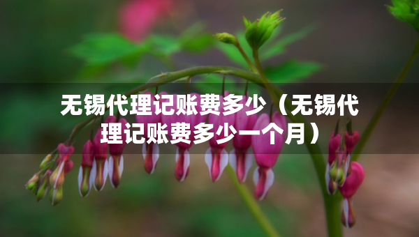 無(wú)錫代理記賬費(fèi)多少（無(wú)錫代理記賬費(fèi)多少一個(gè)月）