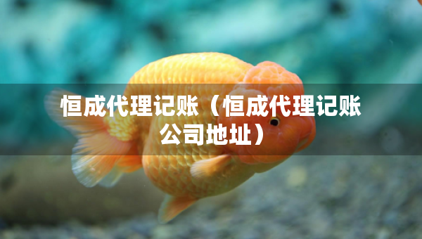 恒成代理記賬（恒成代理記賬公司地址）