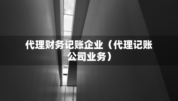 代理財(cái)務(wù)記賬企業(yè)（代理記賬公司業(yè)務(wù)）