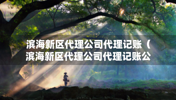 濱海新區(qū)代理公司代理記賬（濱海新區(qū)代理公司代理記賬公司電話）