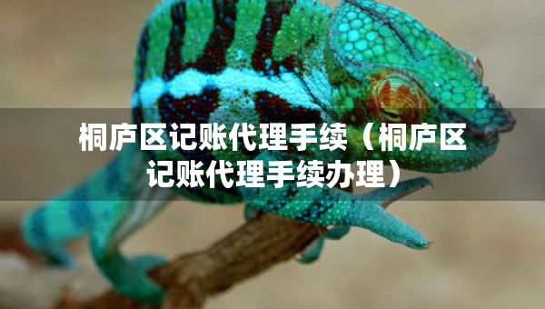 桐廬區(qū)記賬代理手續(xù)（桐廬區(qū)記賬代理手續(xù)辦理）