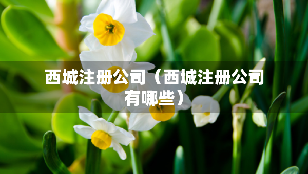 西城注冊(cè)公司（西城注冊(cè)公司有哪些）