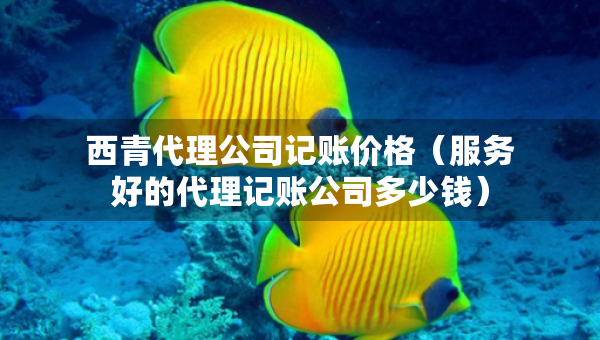 西青代理公司記賬價(jià)格（服務(wù)好的代理記賬公司多少錢(qián)）