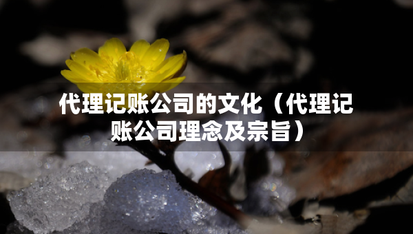 代理記賬公司的文化（代理記賬公司理念及宗旨）