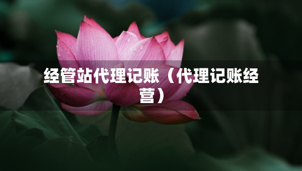 經(jīng)管站代理記賬（代理記賬經(jīng)營(yíng)）