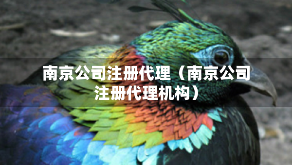 南京公司注冊(cè)代理（南京公司注冊(cè)代理機(jī)構(gòu)）