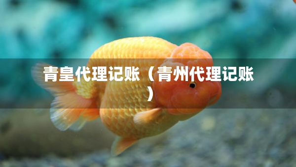 青皇代理記賬（青州代理記賬）