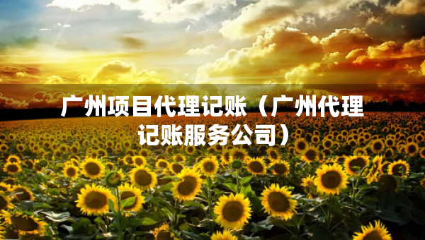 廣州項目代理記賬（廣州代理記賬服務(wù)公司）