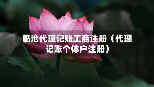 臨滄代理記賬工商注冊（代理記賬個體戶注冊）