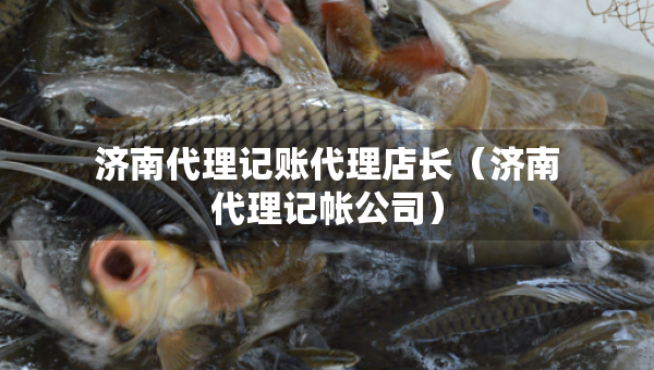 濟(jì)南代理記賬代理店長(zhǎng)（濟(jì)南代理記帳公司）