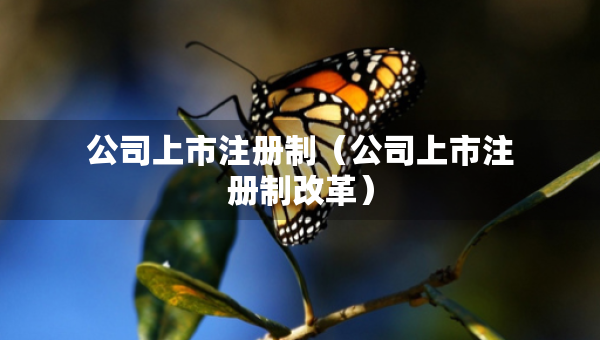 公司上市注冊制（公司上市注冊制改革）