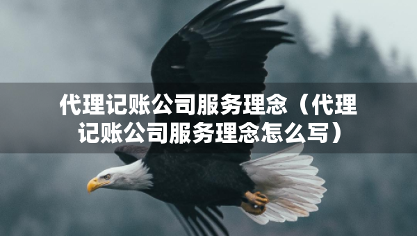 代理記賬公司服務(wù)理念（代理記賬公司服務(wù)理念怎么寫）