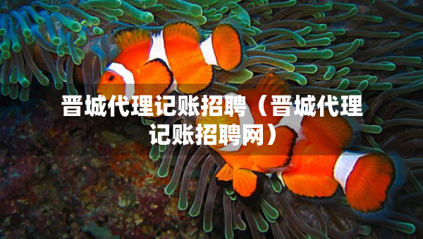 晉城代理記賬招聘（晉城代理記賬招聘網(wǎng)）