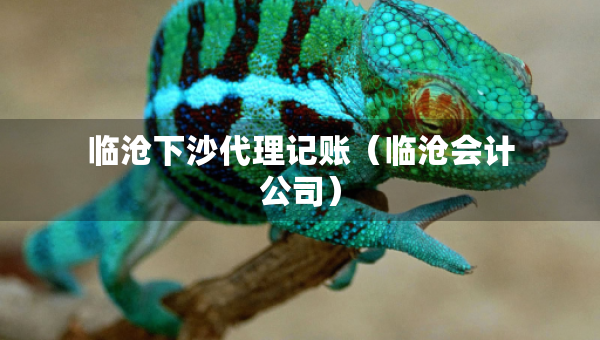 臨滄下沙代理記賬（臨滄會計公司）
