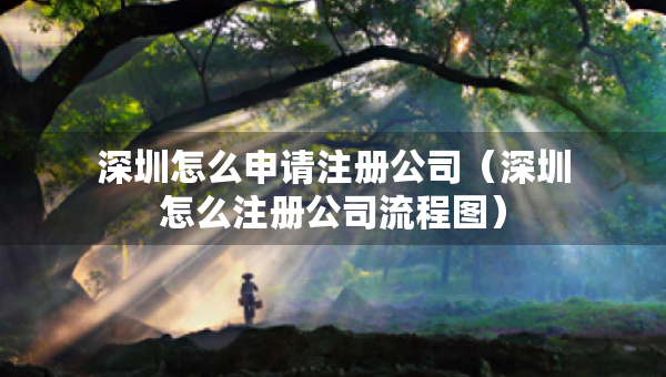 深圳怎么申請(qǐng)注冊(cè)公司（深圳怎么注冊(cè)公司流程圖）