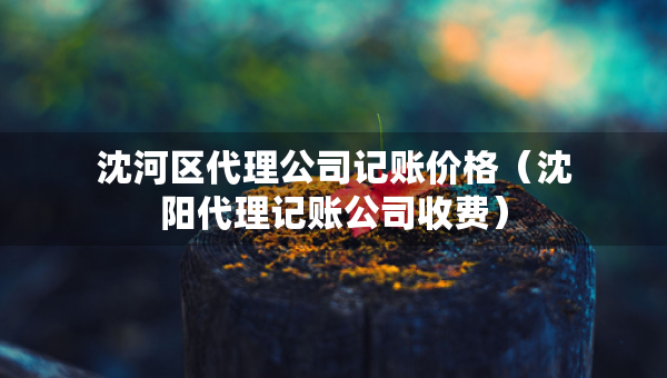 沈河區(qū)代理公司記賬價(jià)格（沈陽代理記賬公司收費(fèi)）