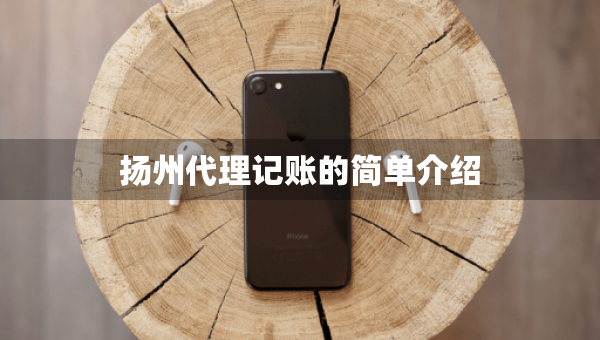 揚州代理記賬的簡單介紹