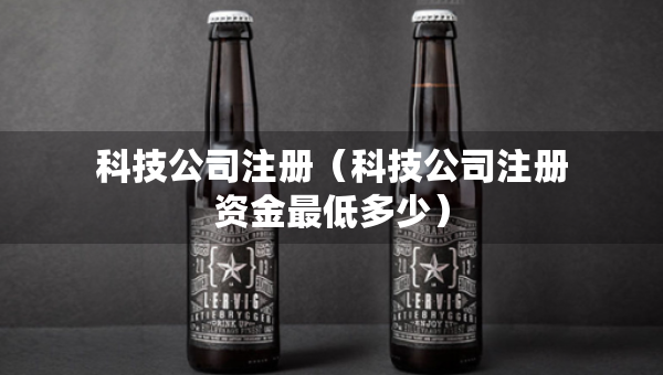 科技公司注冊(cè)（科技公司注冊(cè)資金最低多少）