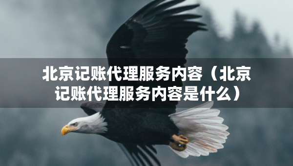 北京記賬代理服務(wù)內(nèi)容（北京記賬代理服務(wù)內(nèi)容是什么）
