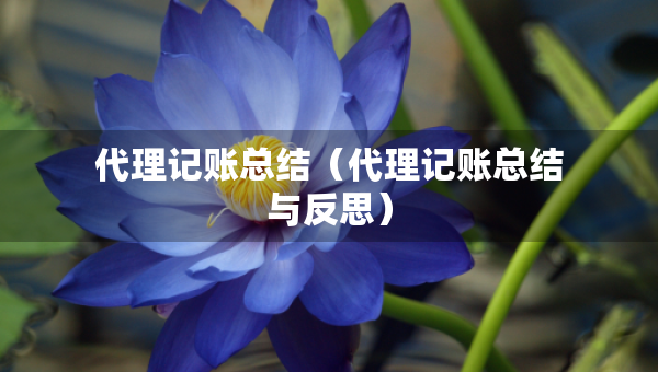 代理記賬總結(jié)（代理記賬總結(jié)與反思）