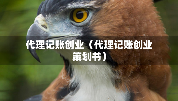 代理記賬創(chuàng)業(yè)（代理記賬創(chuàng)業(yè)策劃書(shū)）