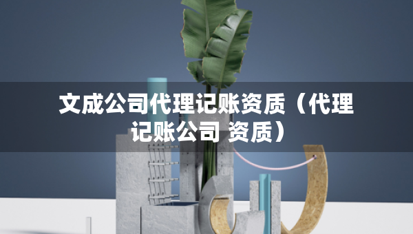 文成公司代理記賬資質(zhì)（代理記賬公司 資質(zhì)）
