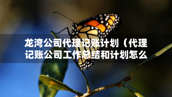 龍灣公司代理記賬計劃（代理記賬公司工作總結(jié)和計劃怎么寫）