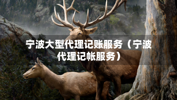 寧波大型代理記賬服務(wù)（寧波代理記帳服務(wù)）