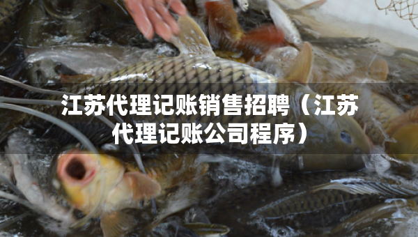 江蘇代理記賬銷(xiāo)售招聘（江蘇代理記賬公司程序）