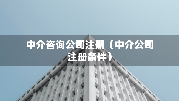 中介咨詢公司注冊（中介公司注冊條件）