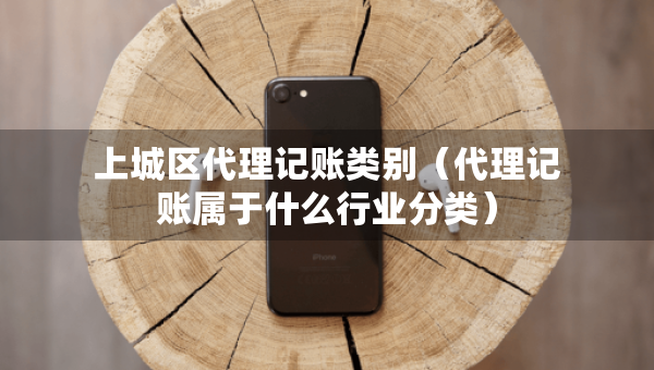 上城區(qū)代理記賬類別（代理記賬屬于什么行業(yè)分類）