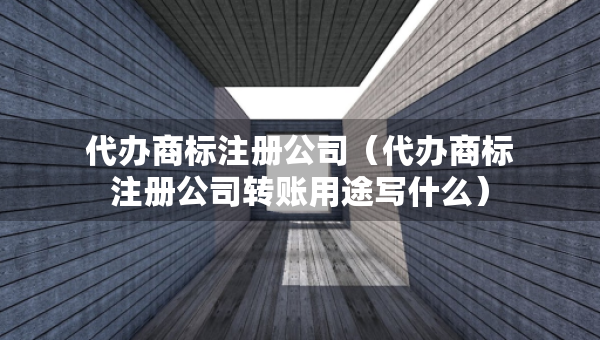 代辦商標(biāo)注冊公司（代辦商標(biāo)注冊公司轉(zhuǎn)賬用途寫什么）