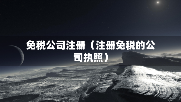 免稅公司注冊(cè)（注冊(cè)免稅的公司執(zhí)照）