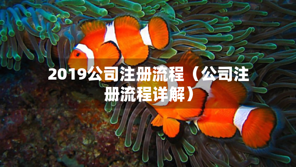 2019公司注冊(cè)流程（公司注冊(cè)流程詳解）