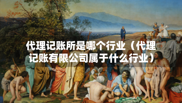 代理記賬所是哪個行業(yè)（代理記賬有限公司屬于什么行業(yè)）